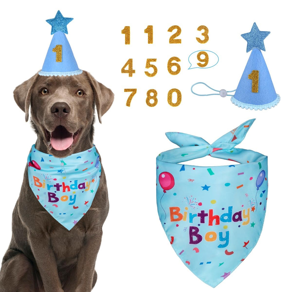 Dog Birthday Party Set - Bandana & Hat with Number