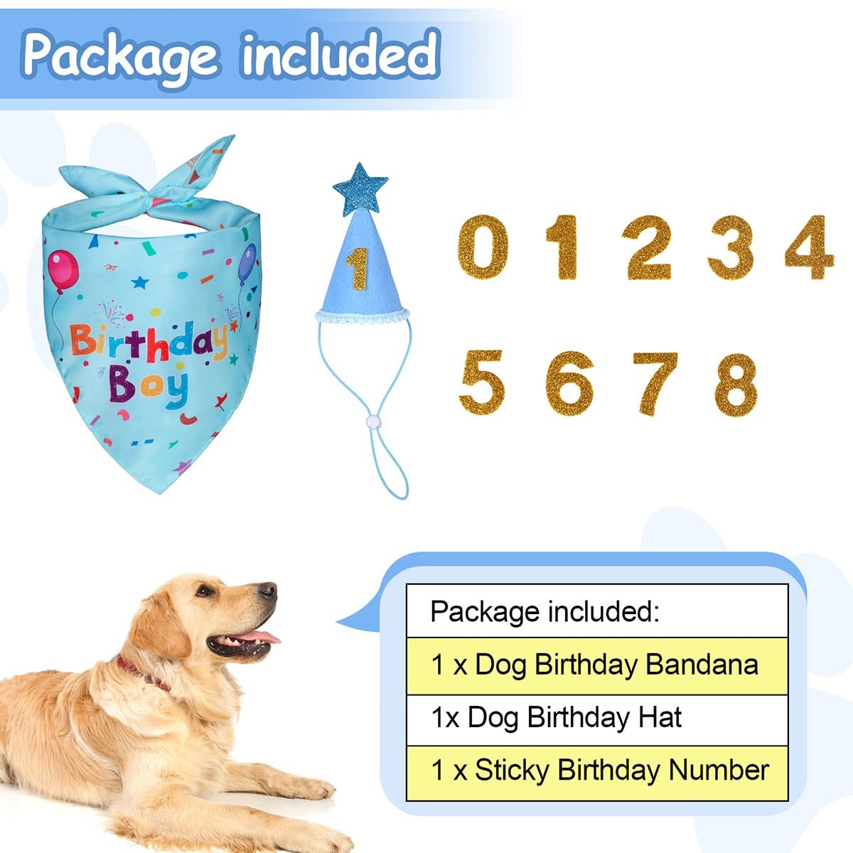 Dog Birthday Party Set - Bandana & Hat with Number