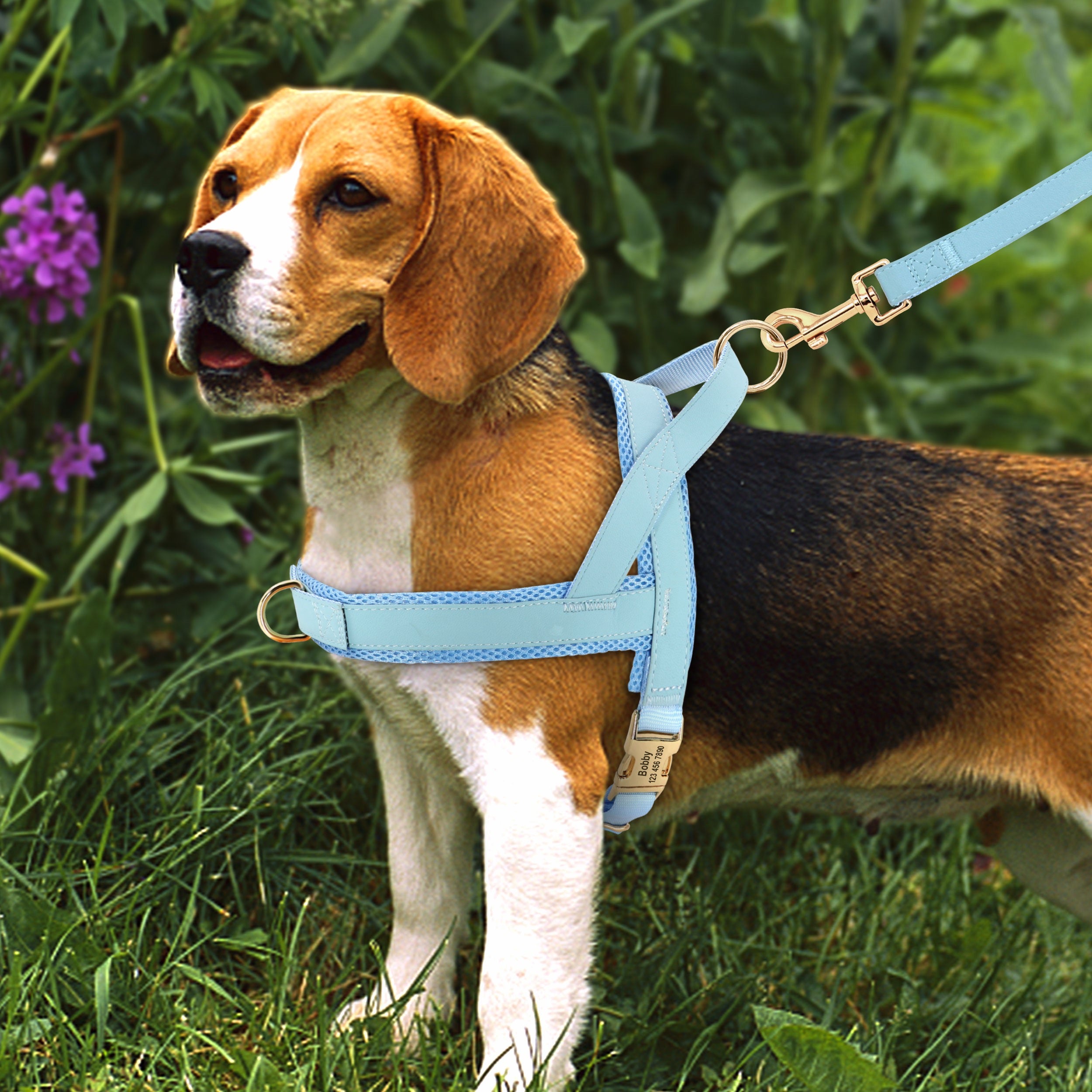 Personalized Dog Harness & Leash Set