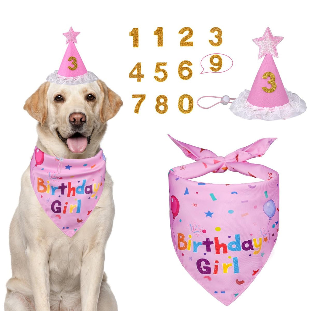 Dog Birthday Party Set - Bandana & Hat with Number