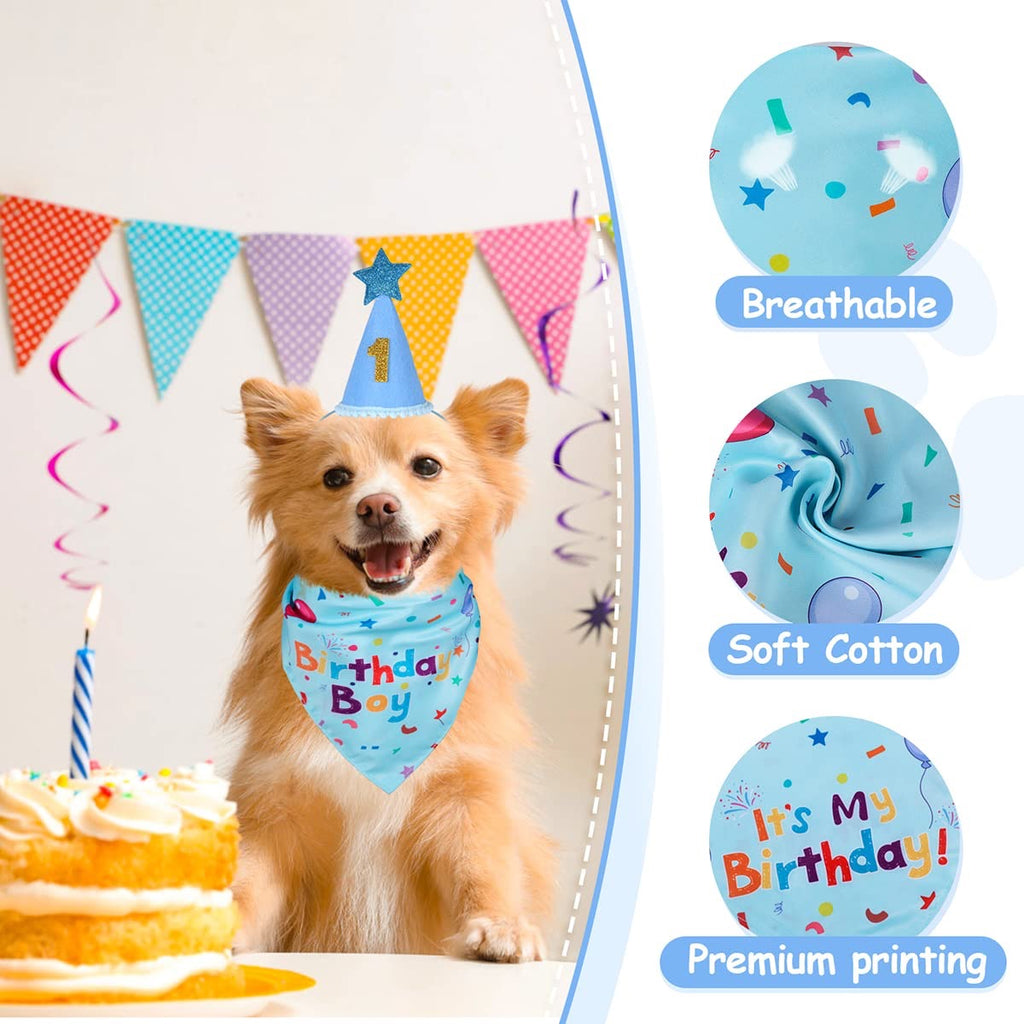 Dog Birthday Party Set - Bandana & Hat with Number