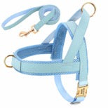 Personalized Dog Harness & Leash Set