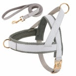 Personalized Dog Harness & Leash Set