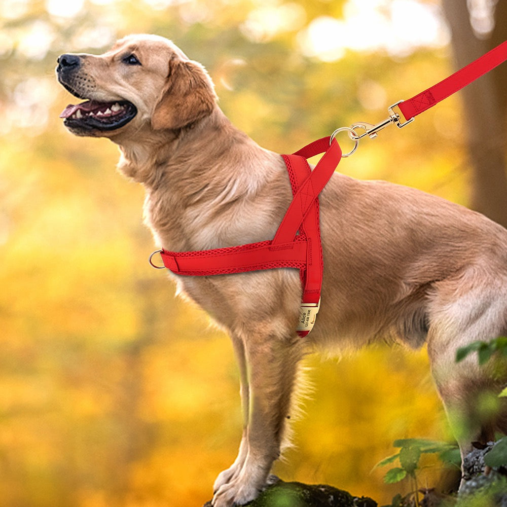Personalized Dog Harness & Leash Set