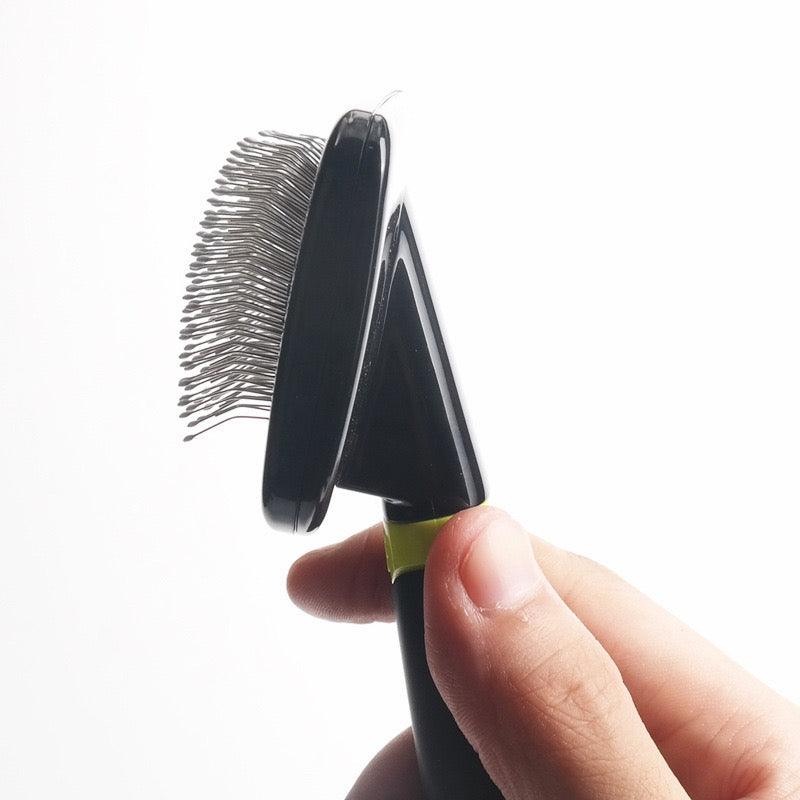 Brosse de Toilettage Professionnelle - Anti-Poils Chien & Chat